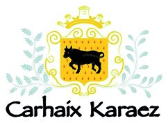 CARHAIX_PLOUGUER.jpg