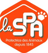 SPA.jpg