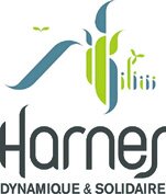 HARNES.jpg